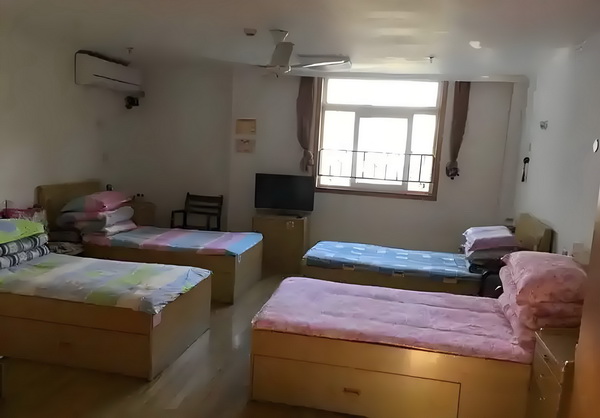 深圳落户 秒批_预售惨淡人气暴跌谁也救不了“狂妄自大”的那英 目前学生信息已获得10条